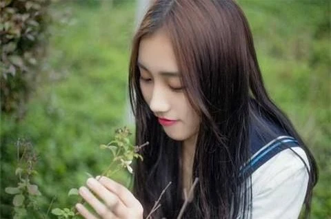 洞悉内心：心理测验的主要方面与价值